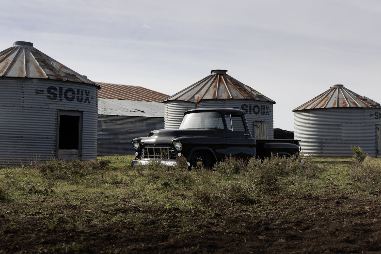 truck & cows-16.jpg